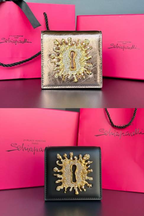 Picture of Schiaparelli Handbags _SKUfw236180846fw